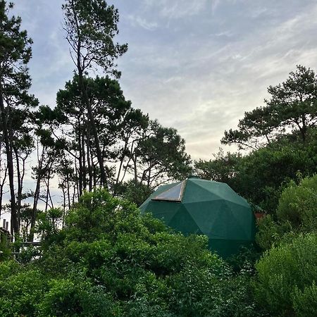 Domosdemar A 100 Mts Del Mar Hotell Ocean Park Eksteriør bilde
