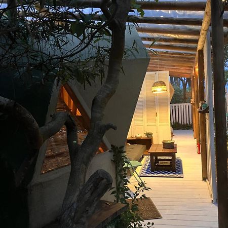Domosdemar A 100 Mts Del Mar Hotell Ocean Park Eksteriør bilde