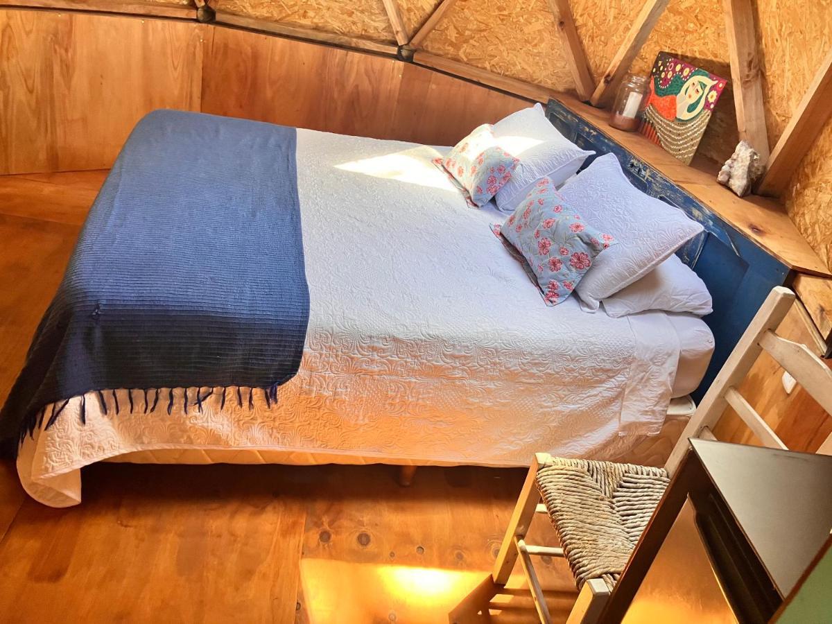 Domosdemar A 100 Mts Del Mar Hotell Ocean Park Eksteriør bilde