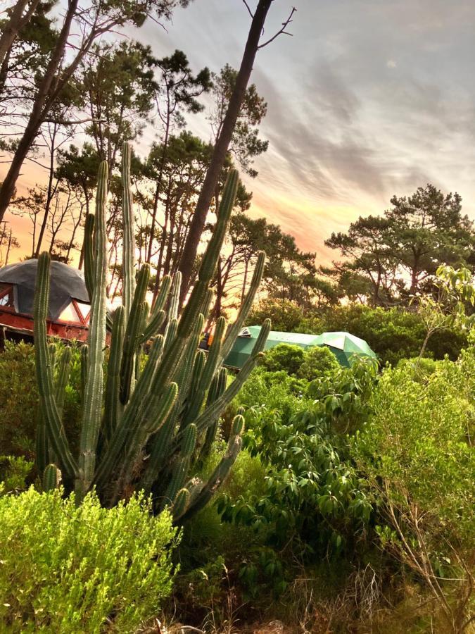 Domosdemar A 100 Mts Del Mar Hotell Ocean Park Eksteriør bilde