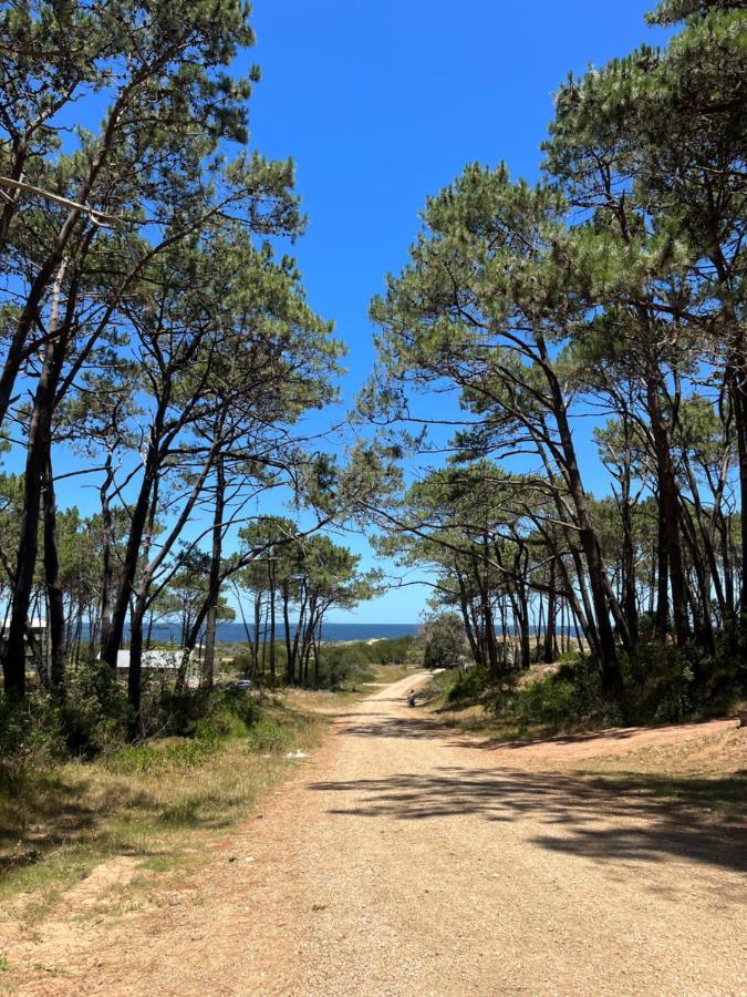 Domosdemar A 100 Mts Del Mar Hotell Ocean Park Eksteriør bilde