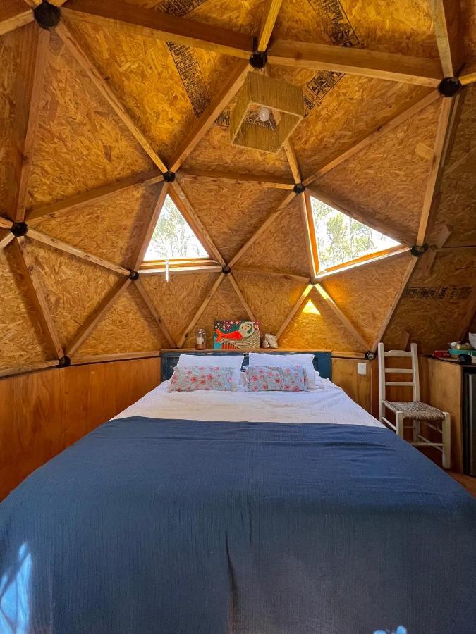 Domosdemar A 100 Mts Del Mar Hotell Ocean Park Eksteriør bilde