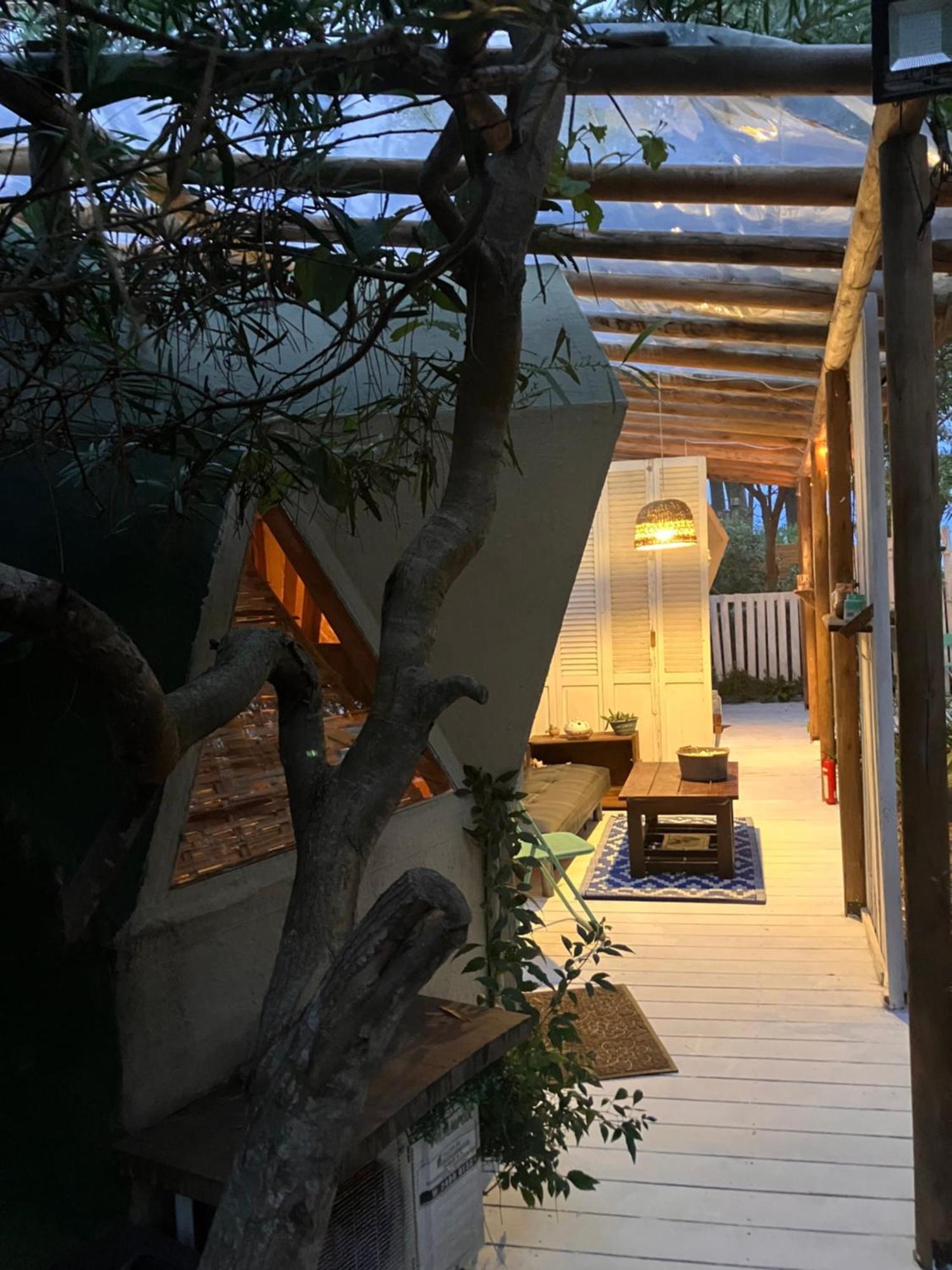 Domosdemar A 100 Mts Del Mar Hotell Ocean Park Eksteriør bilde